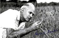 Don Samuel Feijóo en su natalicio