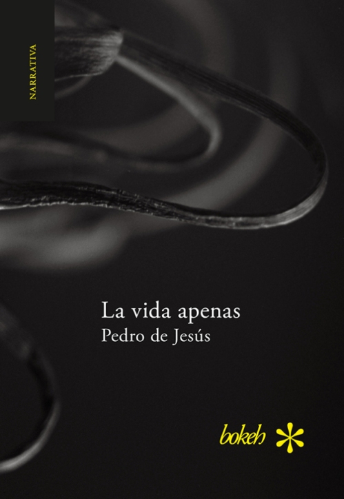 Cubierta de la edición de 2017