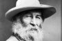 Whitman: «el experimento más audaz y más vasto que la historia de la literatura registra»