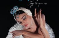 <em>Soy lo que ves</em>