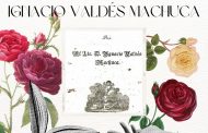 Noviembre de poesía (XIV): Ignacio Valdés Machuca