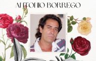Noviembre de poesía (XIX): Antonio Borrego Aguilera, <em>Tony</em>