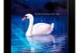 <em>El lago de los cisnes</em>, de Enrique Pérez Díaz, en versión digital
