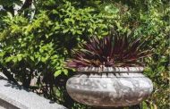 Trampas de la fábula en <em>Casas del Vedado</em>, de María Elena Llana