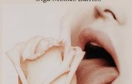<em>El gusto jugoso de la carne</em>, de Olga Montes Barrios (epub)
