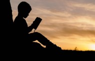 Los nuevos lectores: la formación del lector literario
