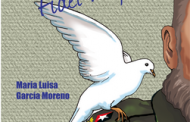 <em>Un joven llamado Fidel Alejandro</em>, de María Luisa García Moreno