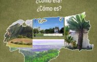 <em>Artemisa, ¿Qué era? ¿Cómo era? ¿Cómo es?</em>, de Luis Ugalde Crespo