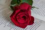 Un libro y una rosa: tres felices coincidencias
