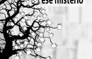 <em>La lectura, ese misterio</em> (epub), de Enrique Pérez Díaz