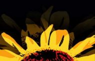 <em>El girasol</em> de Jona Marrero (epub)