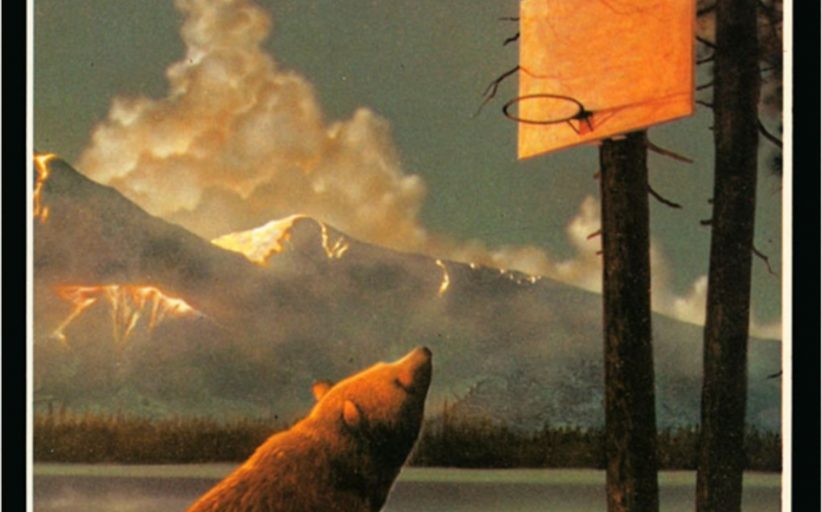 <em>Libertad para los osos</em>, de John Irving (fragmento)