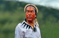 Escritores indígenas de Brasil: Ailton Krenak