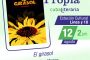 <em>El girasol</em> en la 34 Feria Internacional del Libro de La Habana